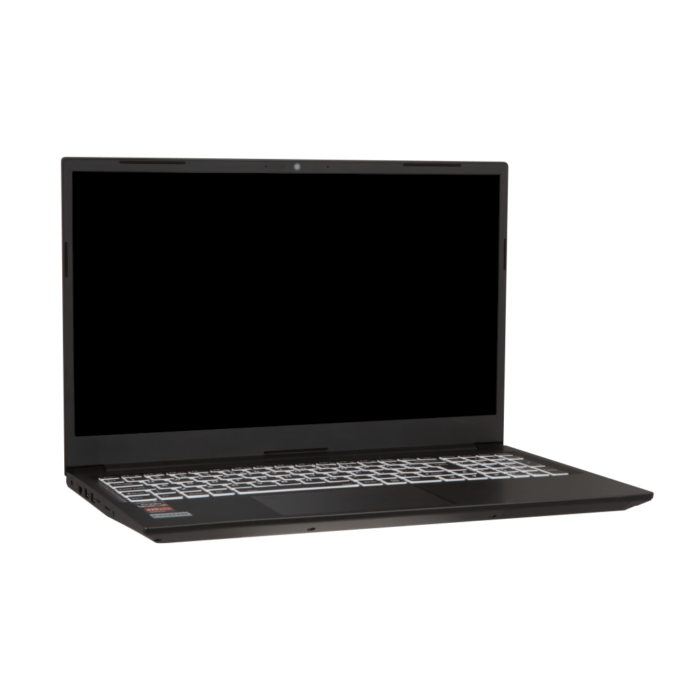 Clevo NL50RU AMD Linux laptop