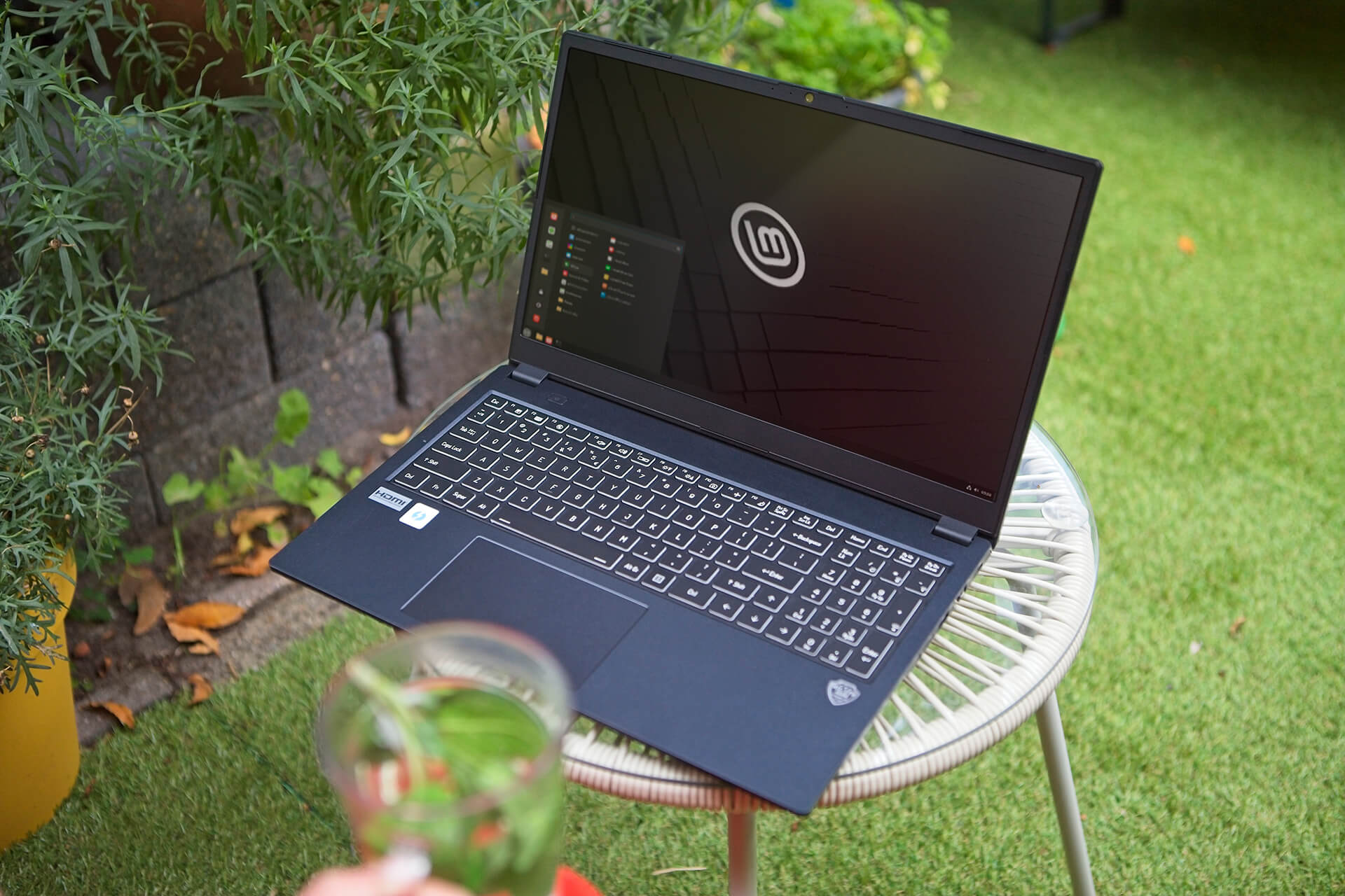 Clevo V650 Laptop With Linux Mint