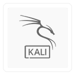 Kali Linux 2024 (64-bit)