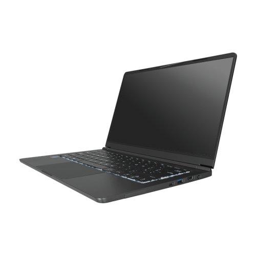 Tongfang PF4NU1F 14" 100 sRGB AMD Laptop